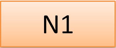 N1